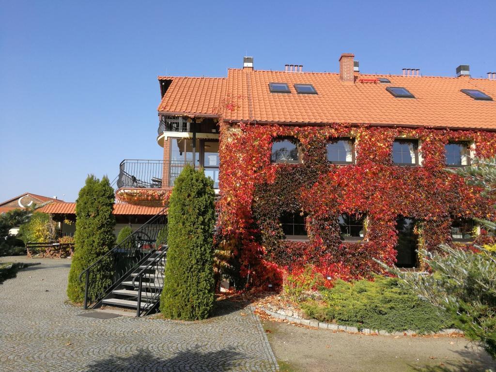 Podkowa Modliszow Villa Exterior photo